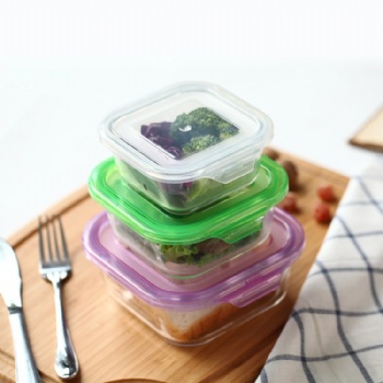  B05320003 fresh keeping box borosilicate material	