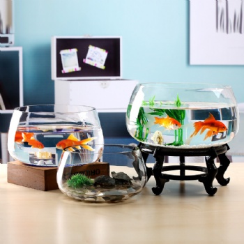 A03510002 classic fish tank