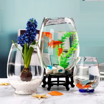 A03510004 Dinosaur egg fish tank