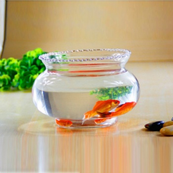 A03510008 lace mouth fish tank