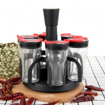 6pcs spice set wih plastic stand B06120029