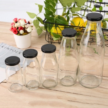 B02160006 milk bottle for daily use